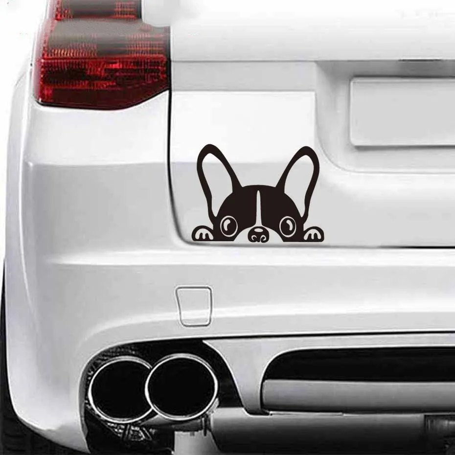 French bulldog reflective car sticker 15cm x 10cm in black, applied to a car window