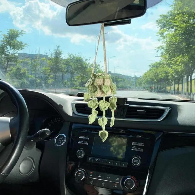 Green and white knitted wool car plant ornament with hanging rope.