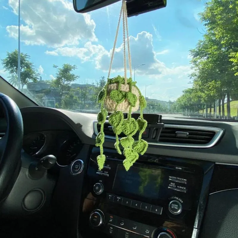 Green and white knitted wool car plant ornament with hanging rope.