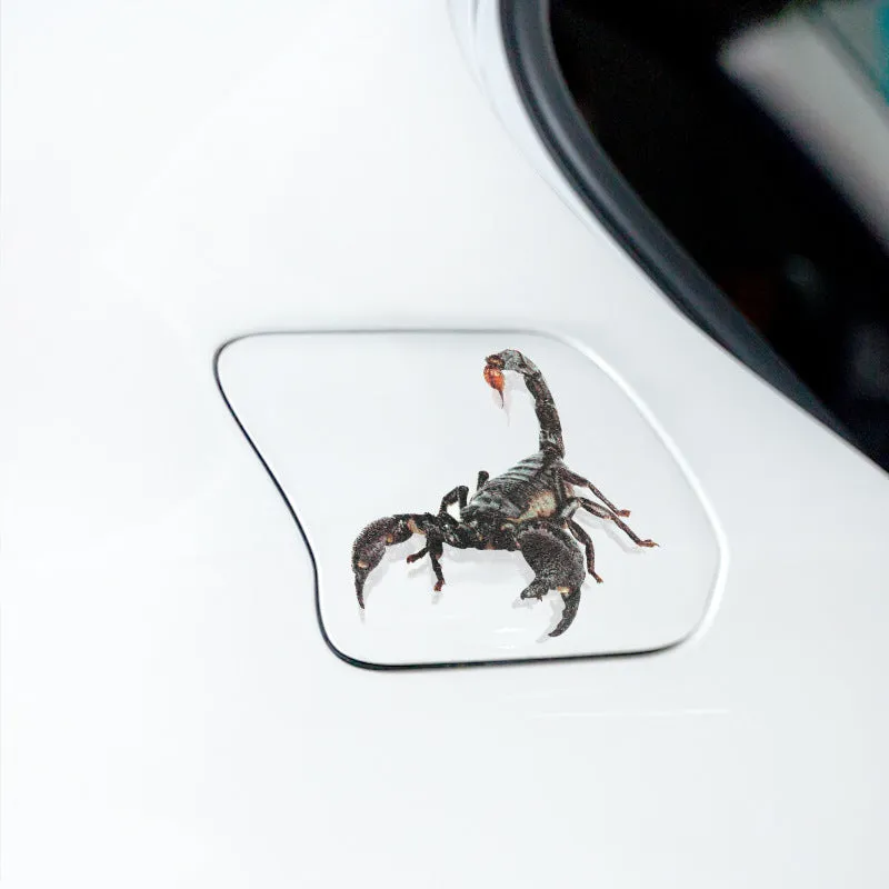 Set of four 3D transparent PVC car stickers featuring spider, gecko, scorpion, and spider designs on a vehicle panel
