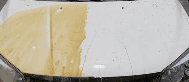 Box of white car wax solid coating crystal wax 200g for gloss repair and protection