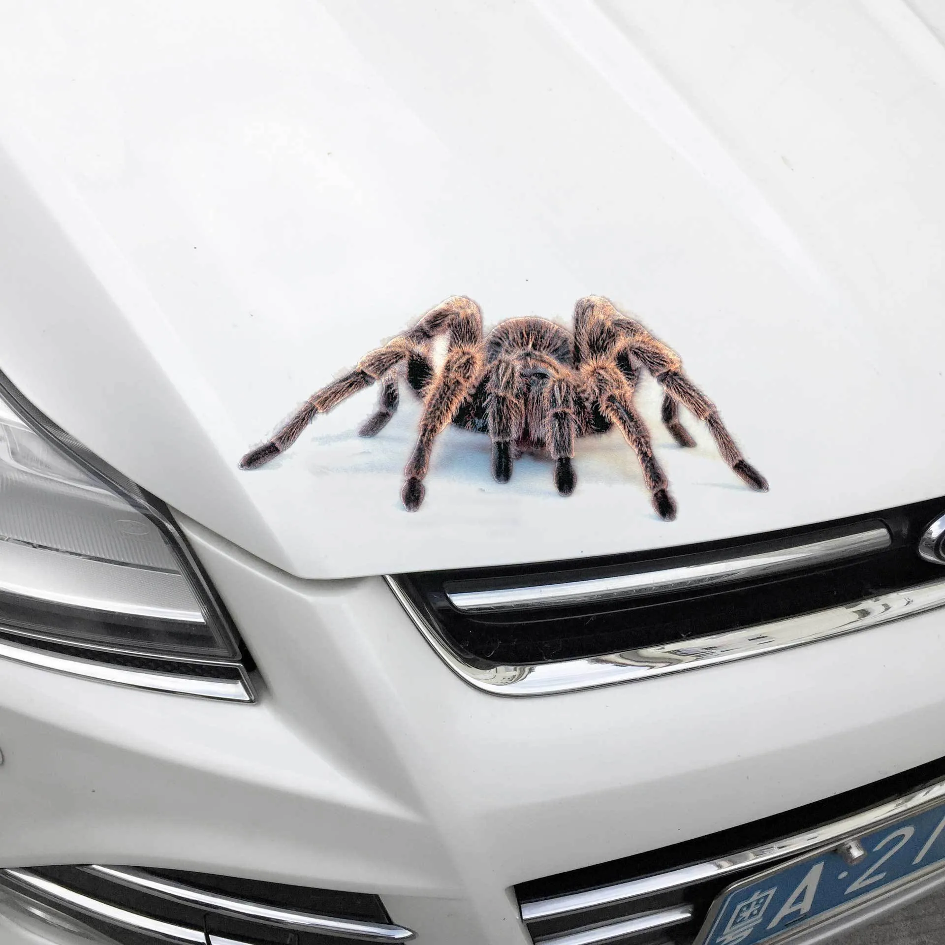 3D simulation matte frosted car sticker with micro-pressure technology showing realistic spider detail on vehicle body
