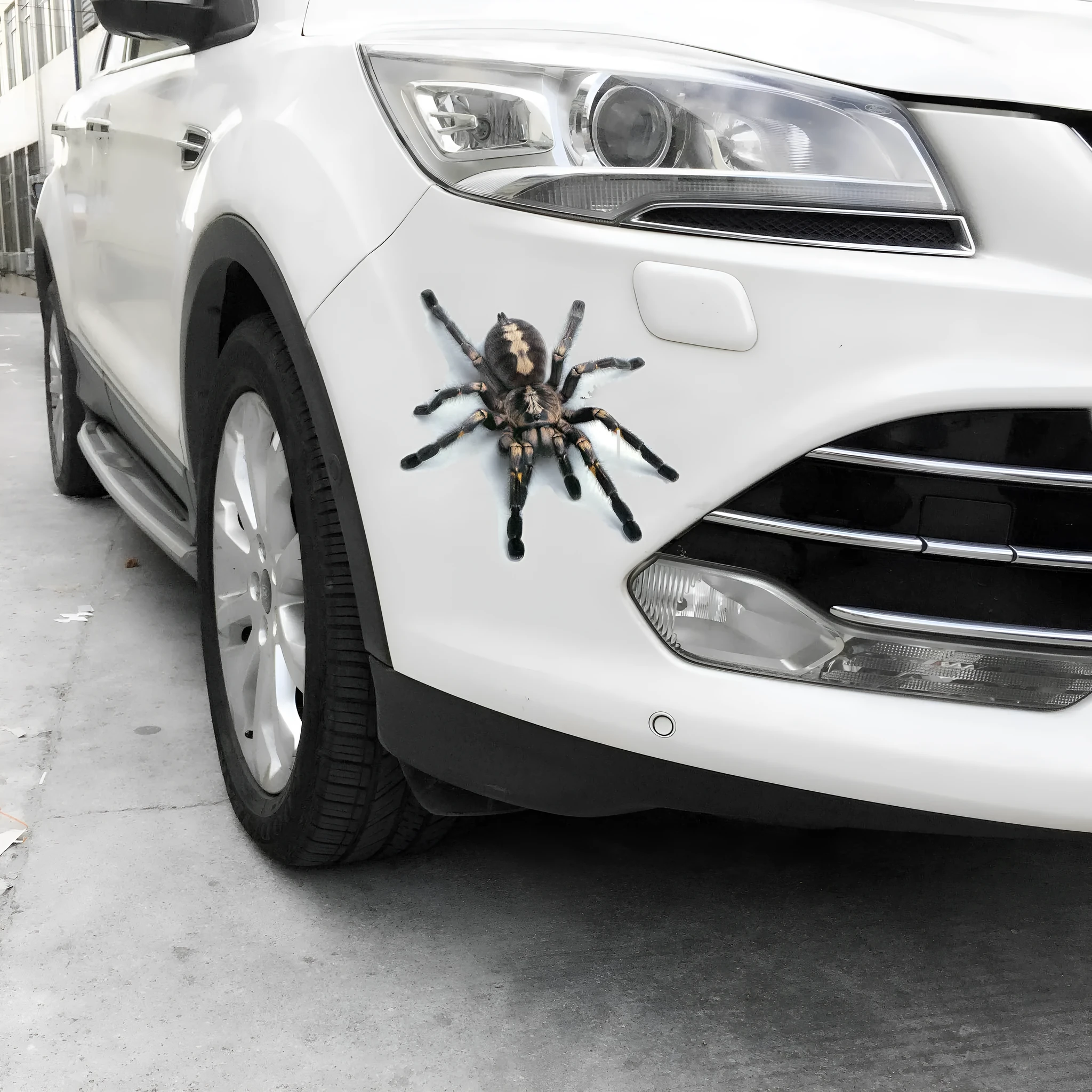 3D simulation matte frosted car sticker with micro-pressure technology showing realistic spider detail on vehicle body