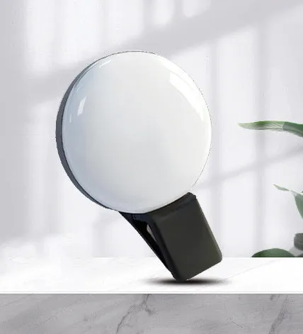 Mobile phone selfie fill light with continuous LED illumination and adjustable brightness settings