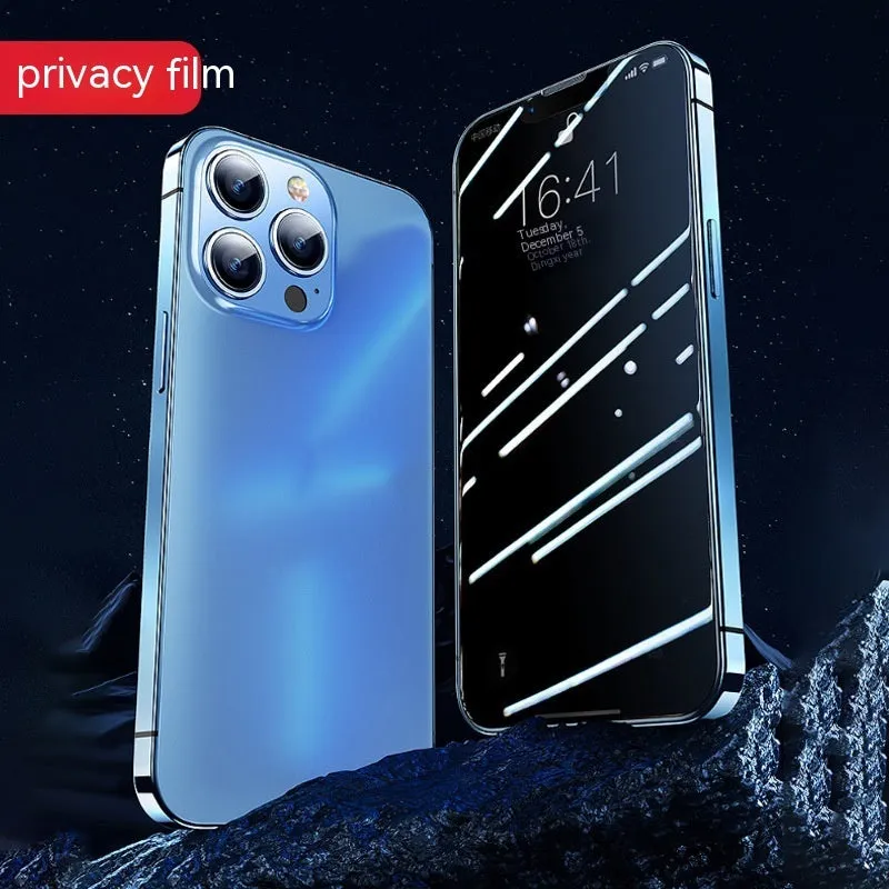 Tempered glass privacy screen protector for iPhone with application box, showing transparent HD, frosted, and peep-proof silk screen variants.