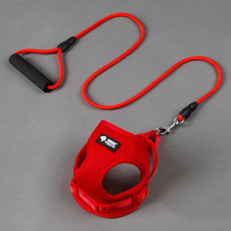 Blue dog leash with foam handle and matching adjustable collar for a medium-sized dog.