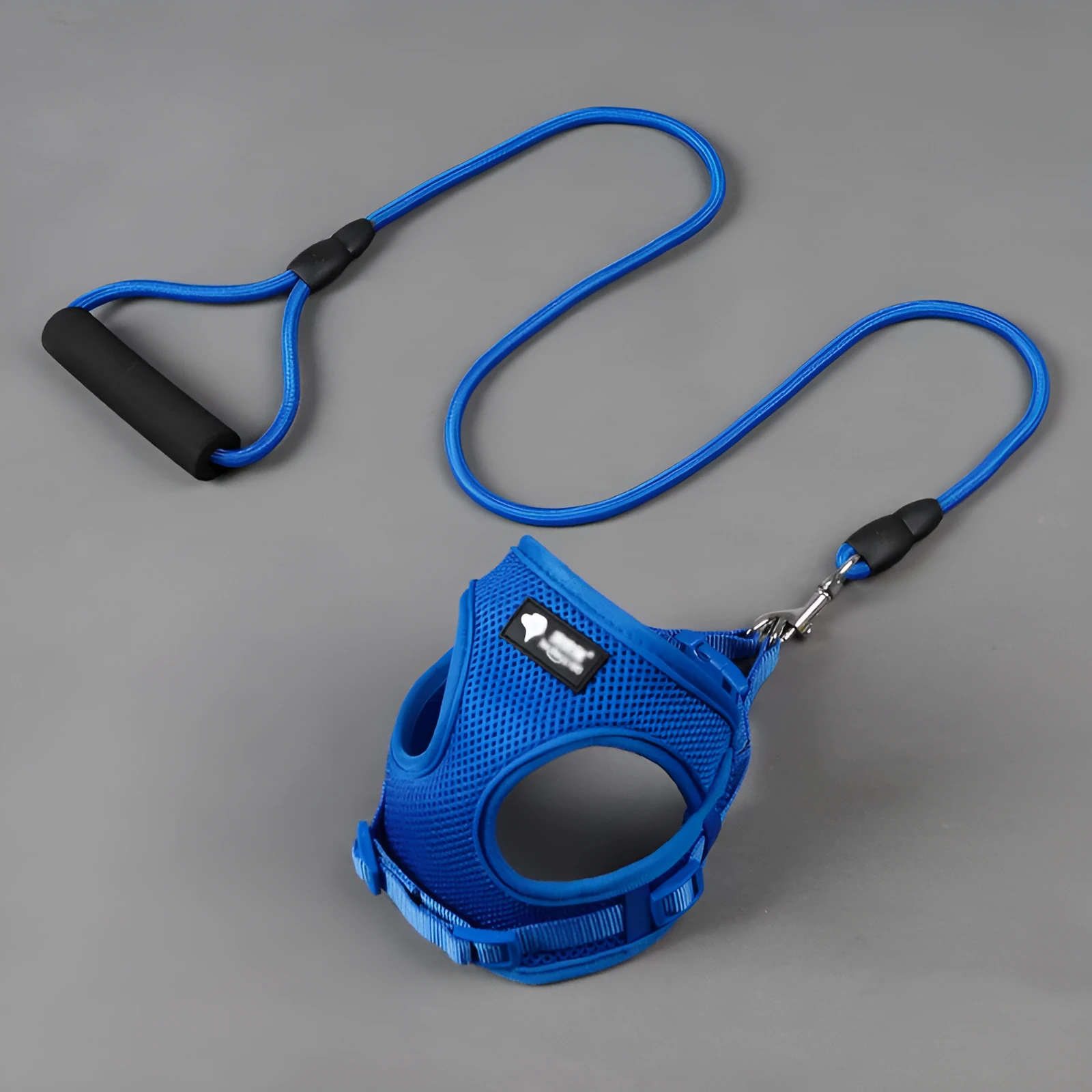 Blue dog leash with foam handle and matching adjustable collar for a medium-sized dog.