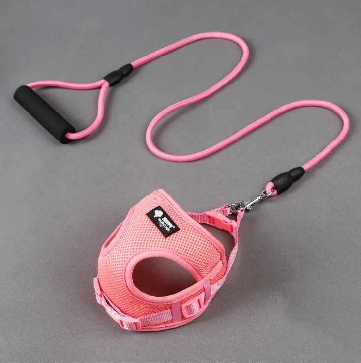Blue dog leash with foam handle and matching adjustable collar for a medium-sized dog.