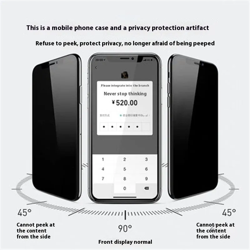 Magnetic double-sided peep-proof glass phone case in black for iPhone 13 to 16 series with metal frame