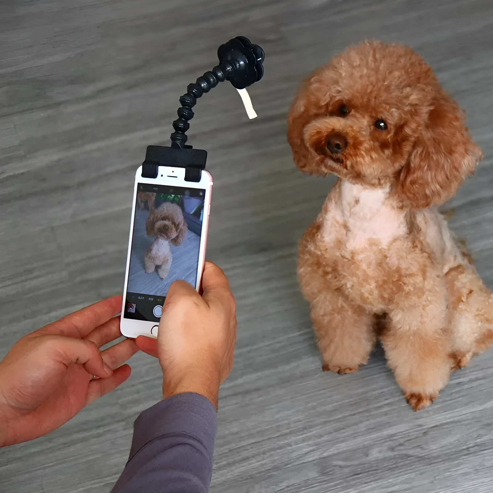 Black or white PVC pet selfie stick extended to 14.6cm with square and flower clips for mobile phone photography
