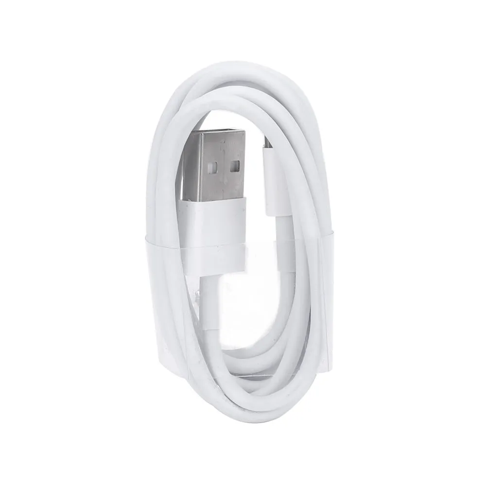 5V 2A USB travel charger and cable compatible with iPhone and iPad models.