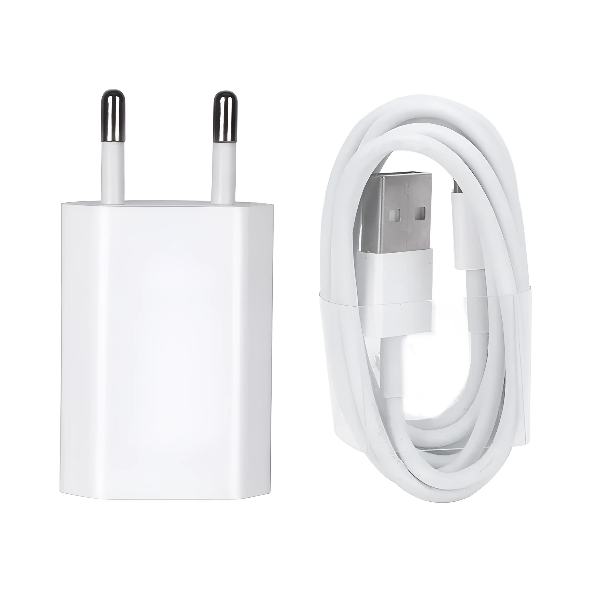 5V 2A USB travel charger and cable compatible with iPhone and iPad models.