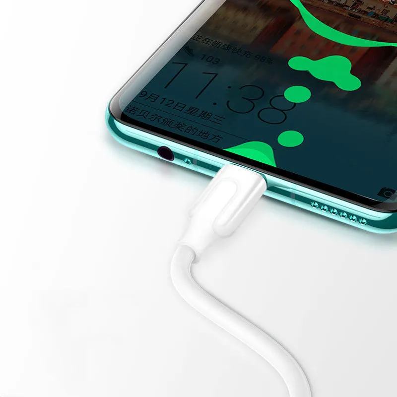 Fast charging USB cable in black, 5A single-head connector for Android Type C or iPhone, 1m length