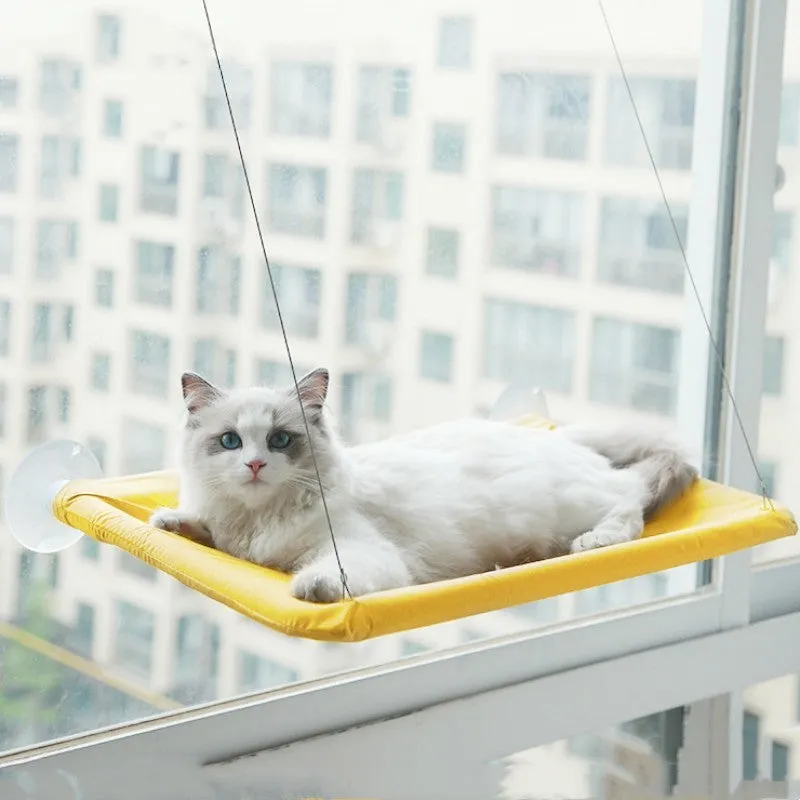 Grey cat lying on an Oxford cloth pet litter sucker hanging window hammock with suction cups attached to glass