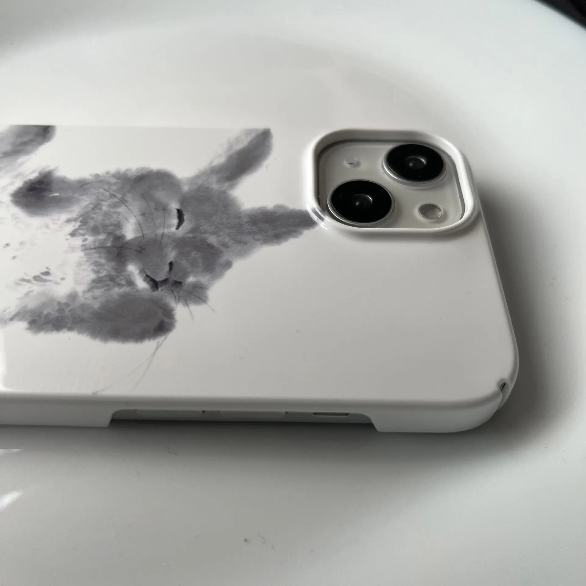 Rabbit Chinese ink ins art film phone case for iPhone with glossy or frosted finish and M61 pattern