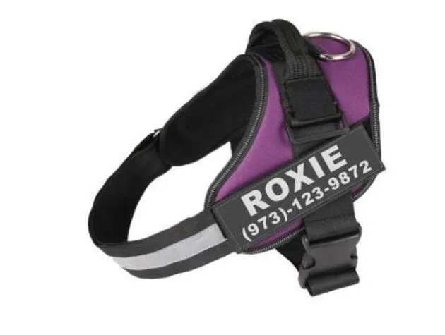 Adjustable reflective no-pull dog harness in multiple colours with chest strap design for small medium large breeds