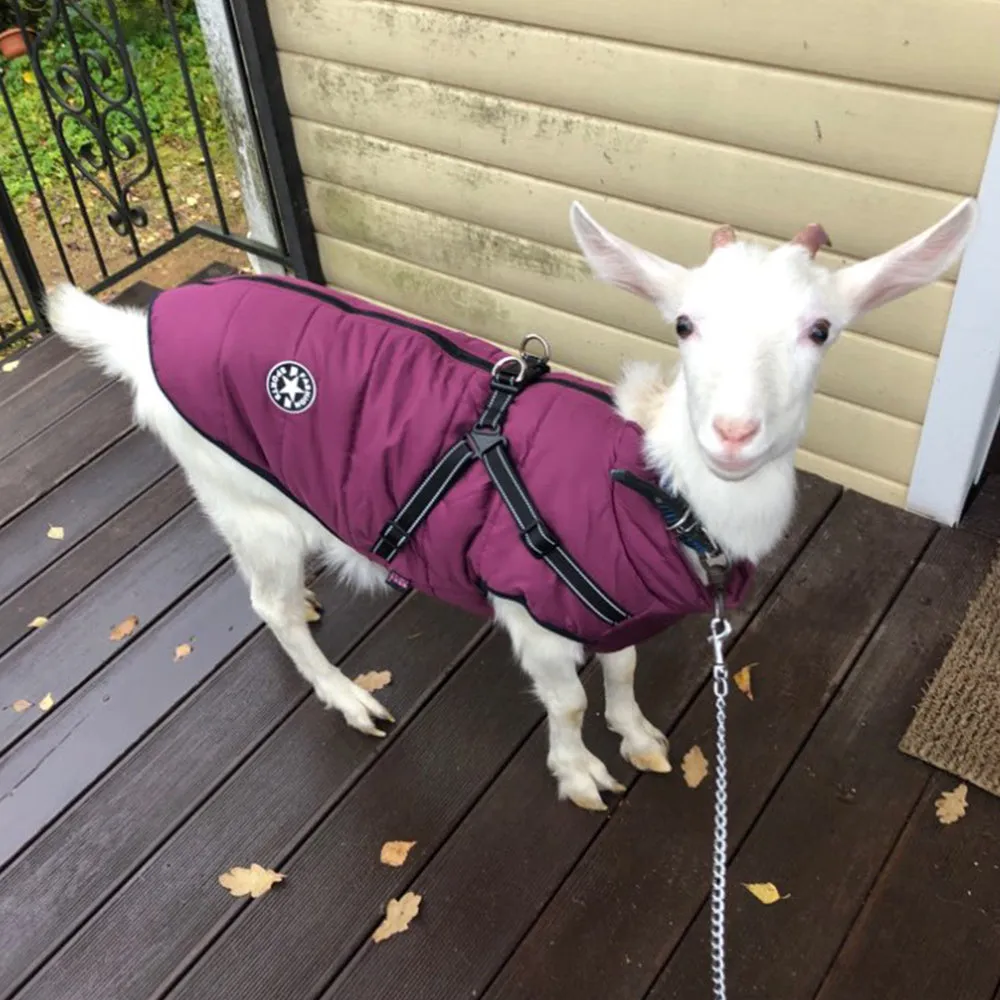 Waterproof dog coat with built-in harness in red, navy blue, or army green colours