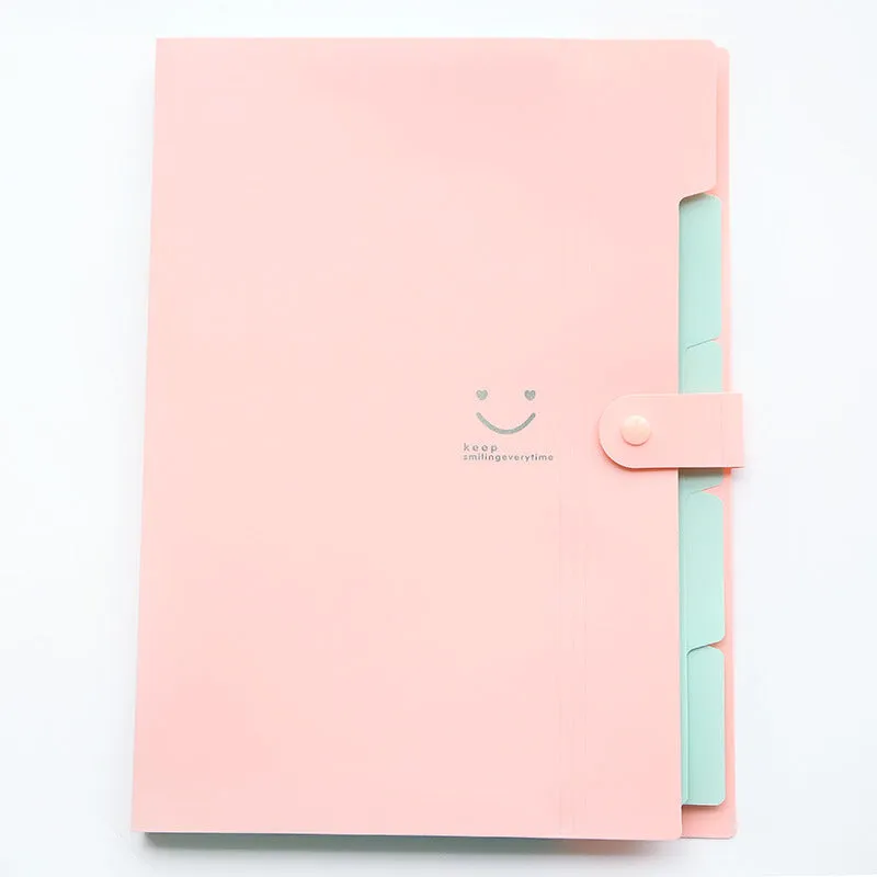 Transparent A4 plastic document file bag with coloured binding edge holding papers