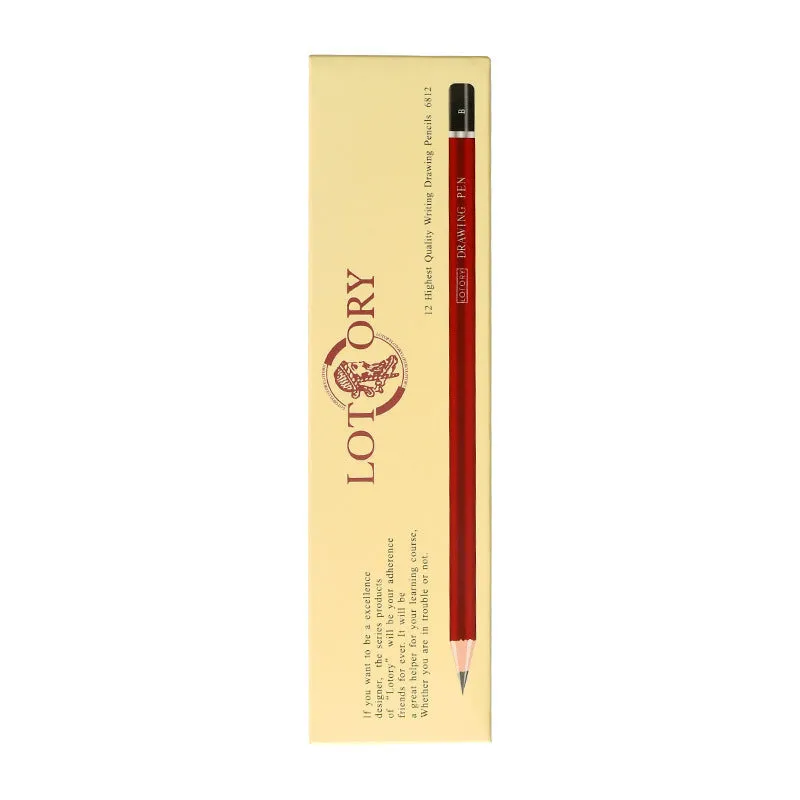 Professional charcoal pencil art set with multiple hardness grades and soft carbon sticks for sketching