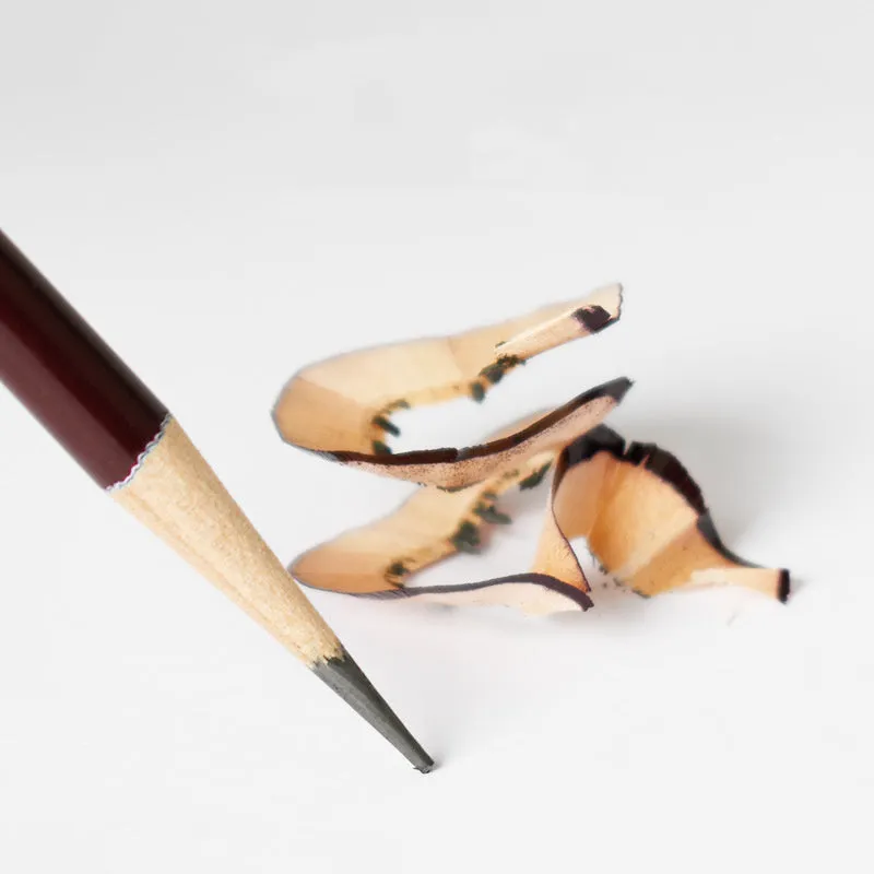 Professional charcoal pencil art set with multiple hardness grades and soft carbon sticks for sketching