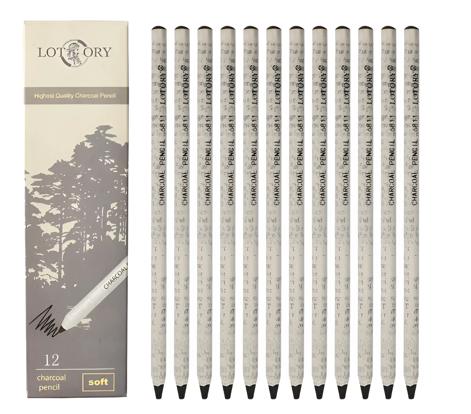 Professional charcoal pencil art set with multiple hardness grades and soft carbon sticks for sketching