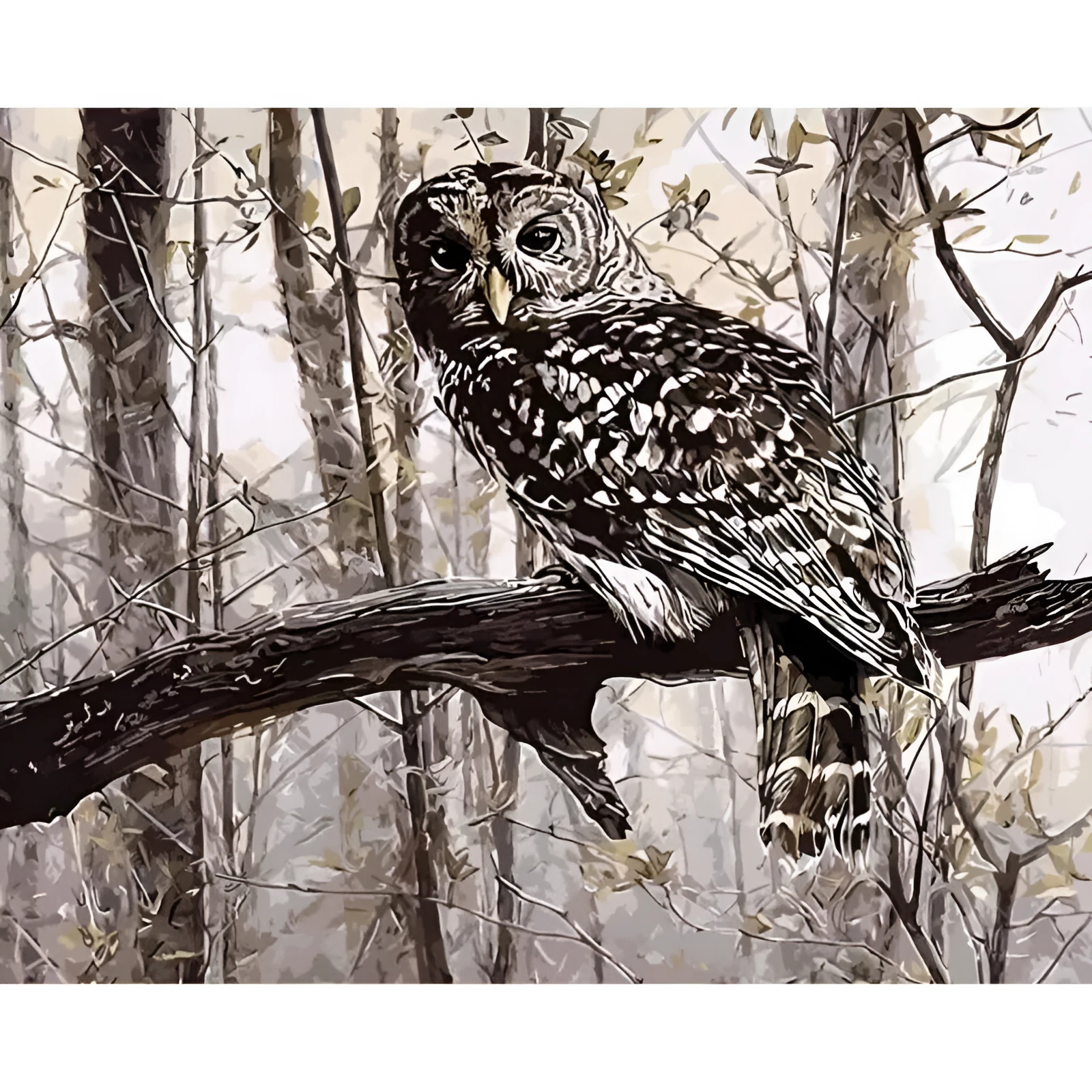Owl digital painting kit showing 40x50cm numbered canvas, acrylic paint pots, and nylon brushes