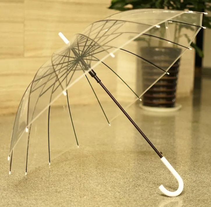 Transparent 16-rib umbrella with extra-long handle showing black steel skeleton frame
