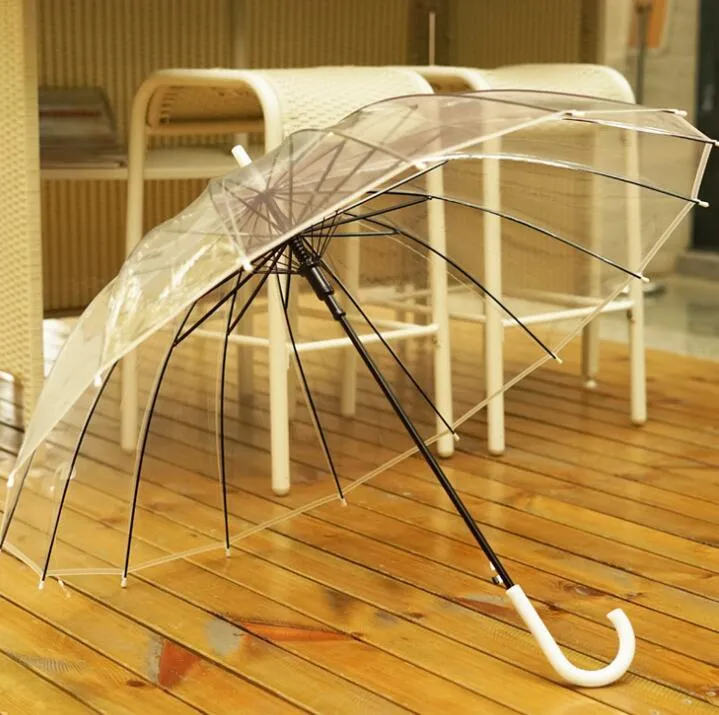 Transparent 16-rib umbrella with extra-long handle showing black steel skeleton frame