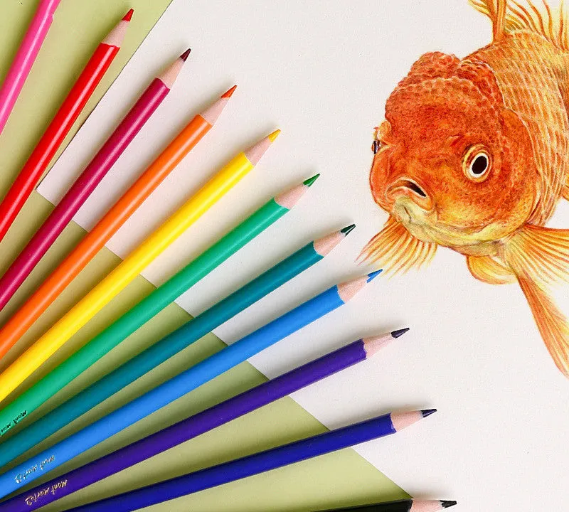 24 colour cartoon style pencils with wooden barrels in paper packaging case