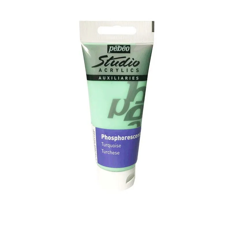 100ml luminous acrylic paint toning glue bottle in glow colours with brushes and painting knives