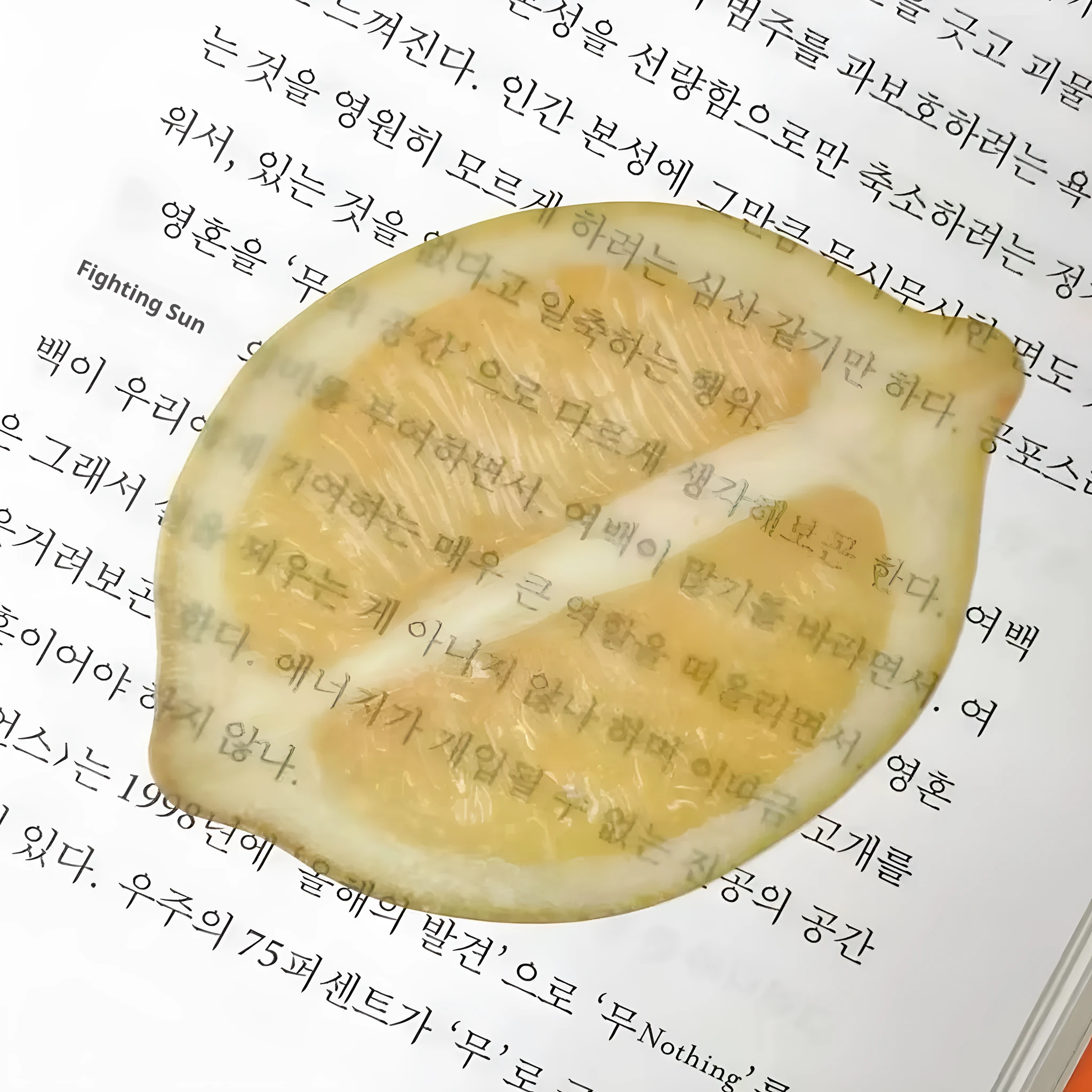 Cute fixed photo cartoon watermelon fruit bookmark made of plastic, approximately 8-10cm in size, transparent style.