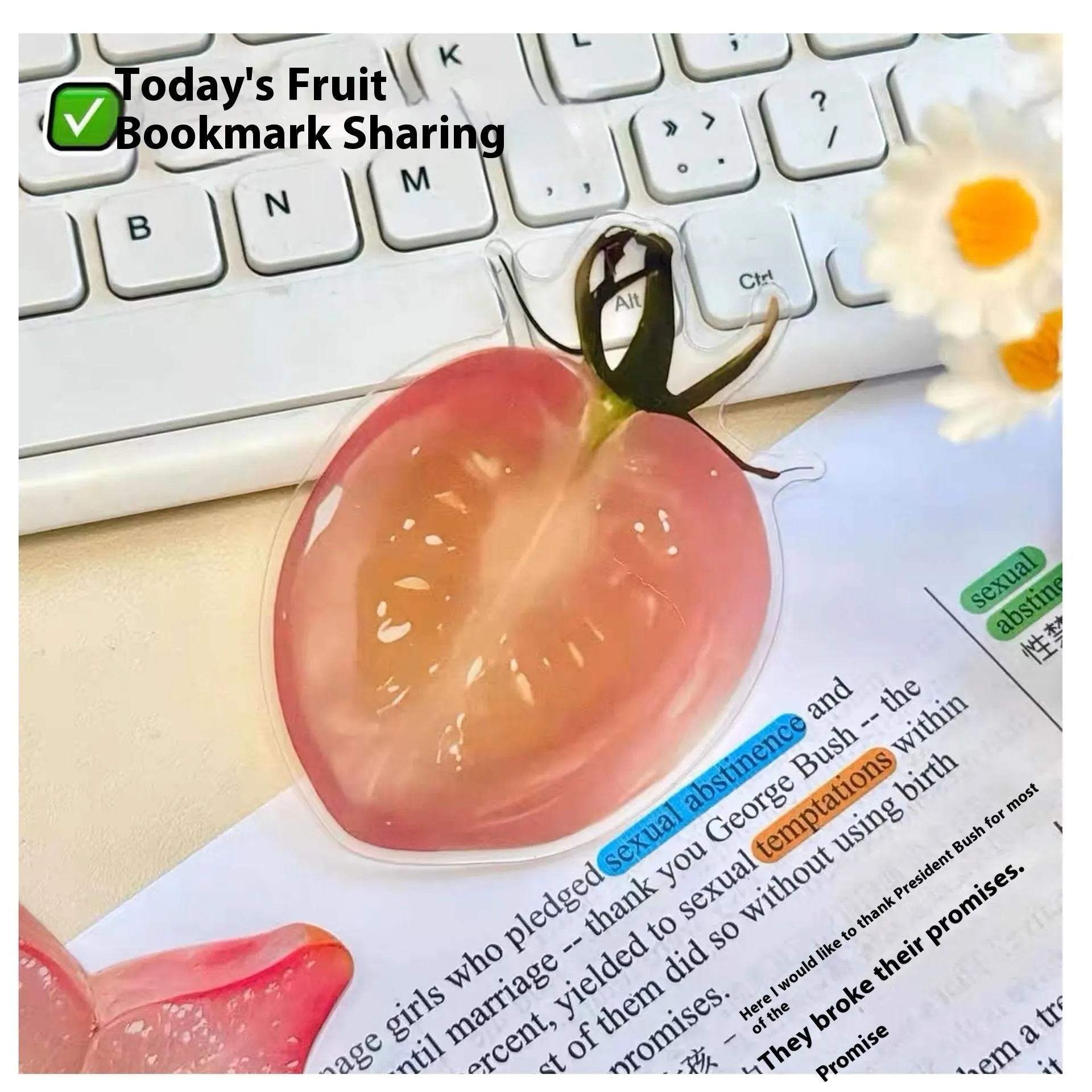 Cute fixed photo cartoon watermelon fruit bookmark made of plastic, approximately 8-10cm in size, transparent style.