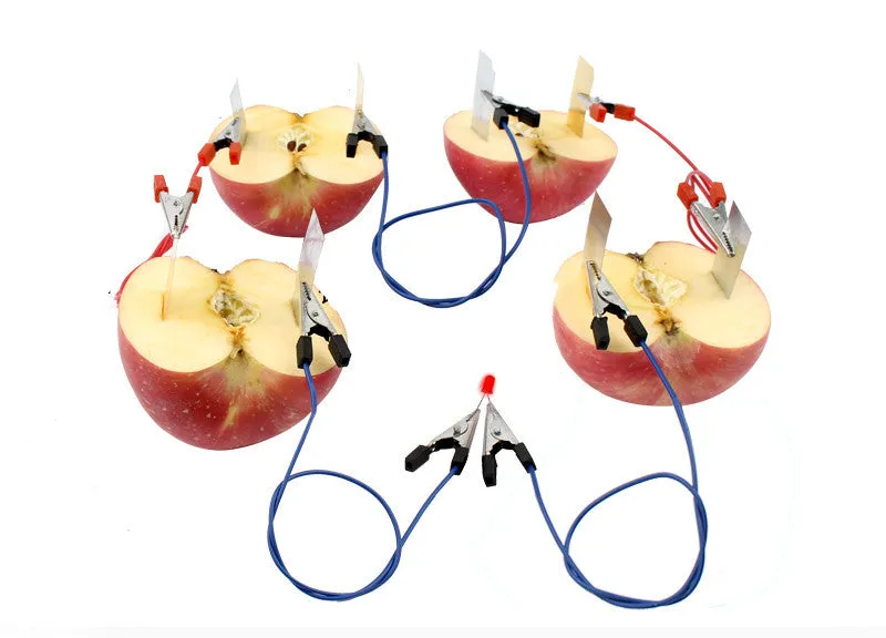Zinc sheet and copper sheet electrode assembly for fruit battery science experiment