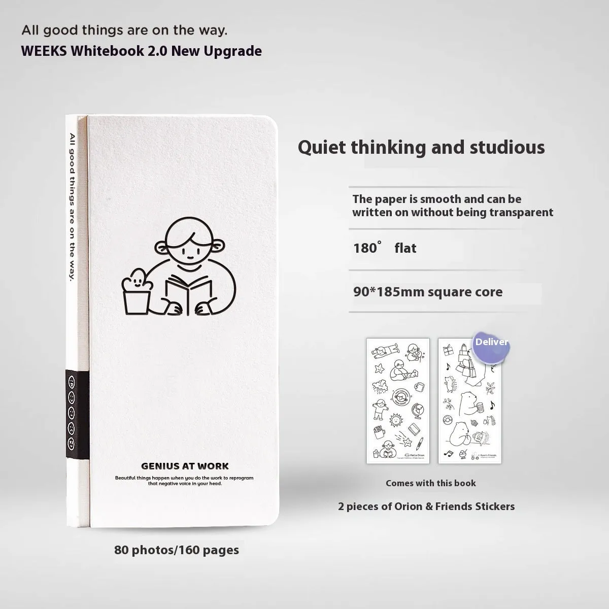 Small white paper notebook with plaid pages, mesh cover, and a pair of decorative stickers.