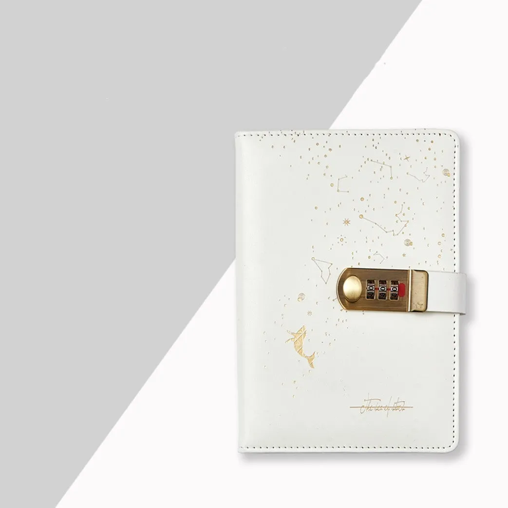 A5 password book diary with fingerprint lock, imitation leather hard cover, open to show 100 pages