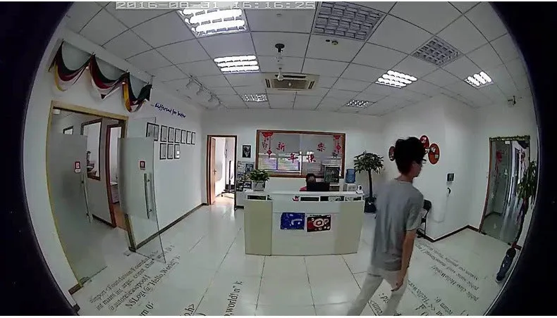 Fisheye network camera 1.3 megapixel plastic housing indoor hemispherical lens security