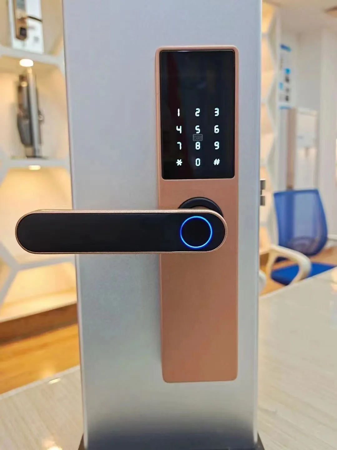 Alloy wooden door fingerprint lock in black with graffiti wifi, keyless entry
