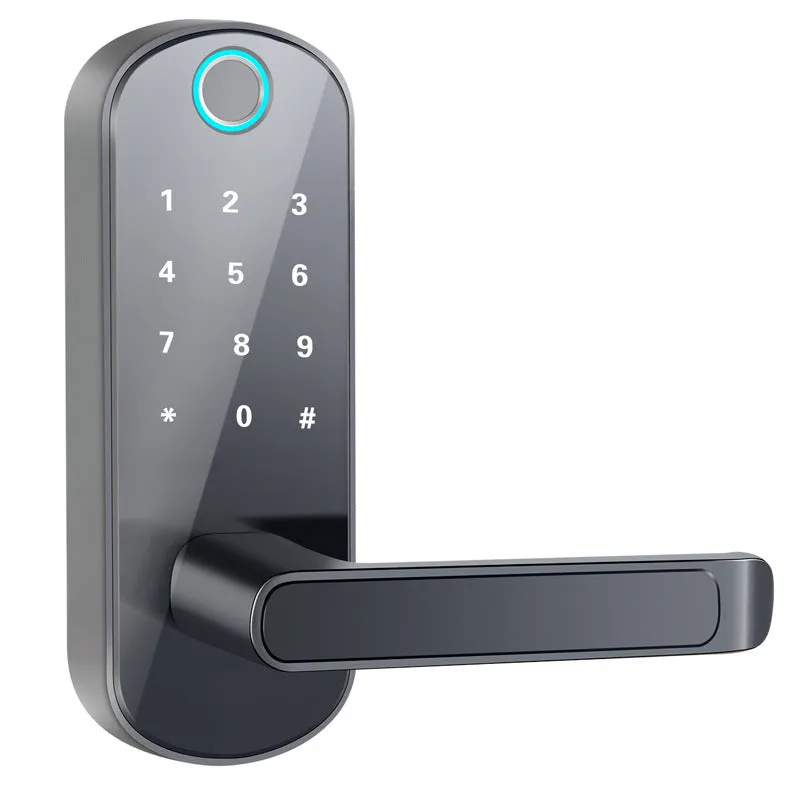Smart Bluetooth fingerprint lock for doors with 200 capacity and battery power
