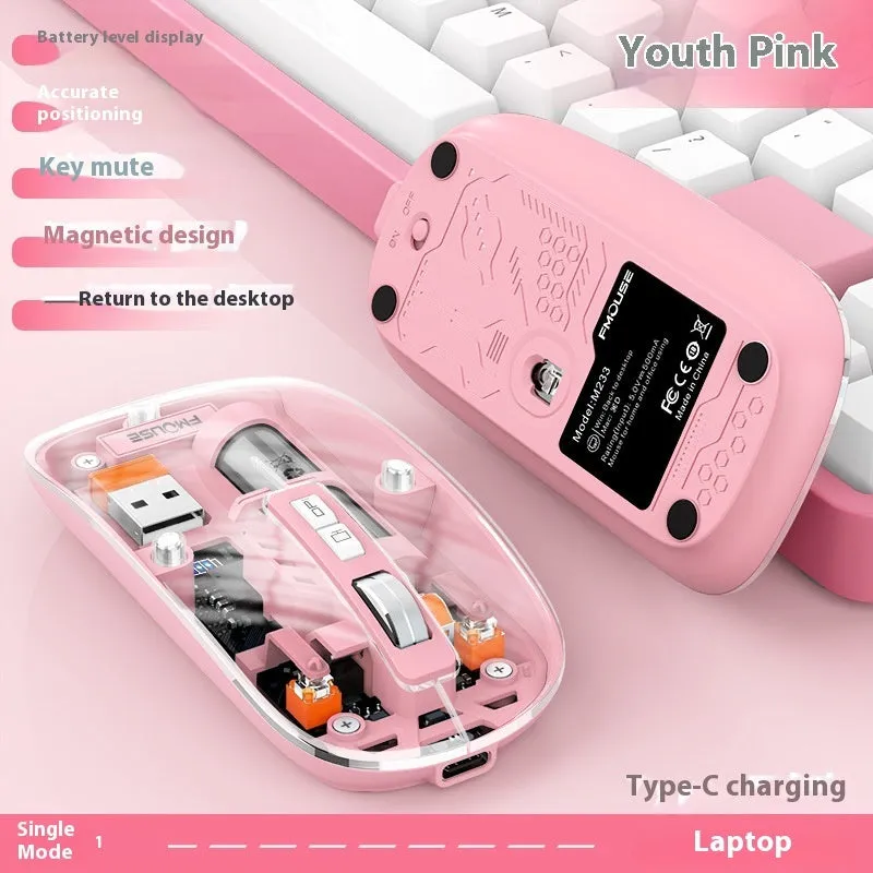 Transparent wireless computer mouse with self-charging feature in various colours