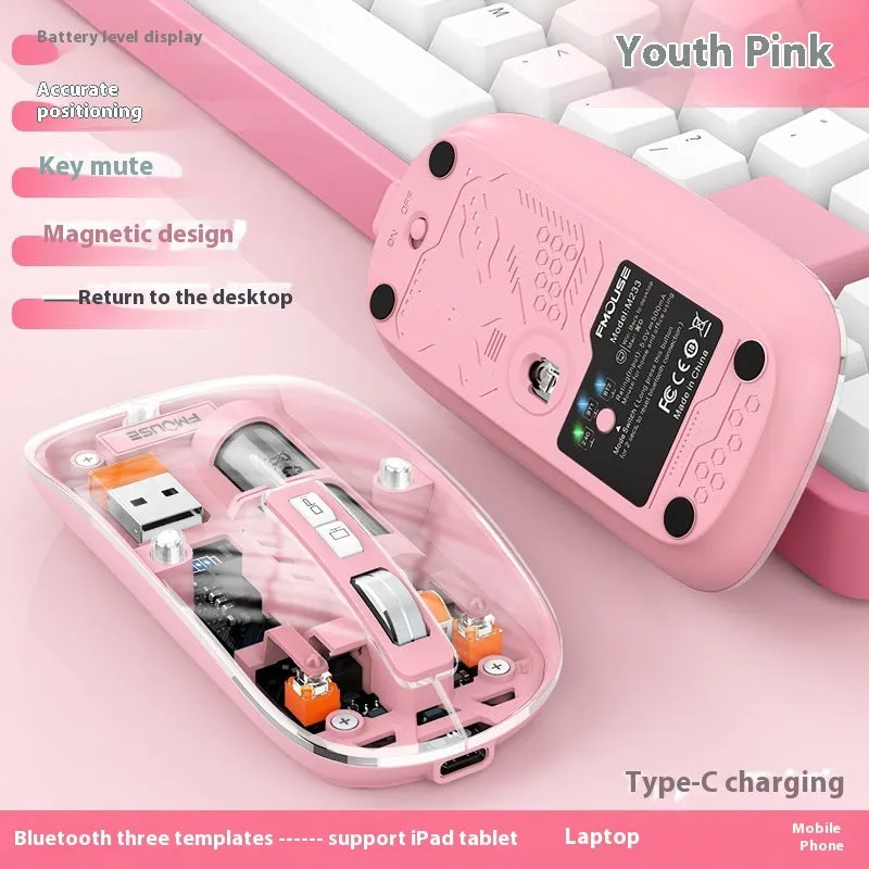 Transparent wireless computer mouse with self-charging feature in various colours