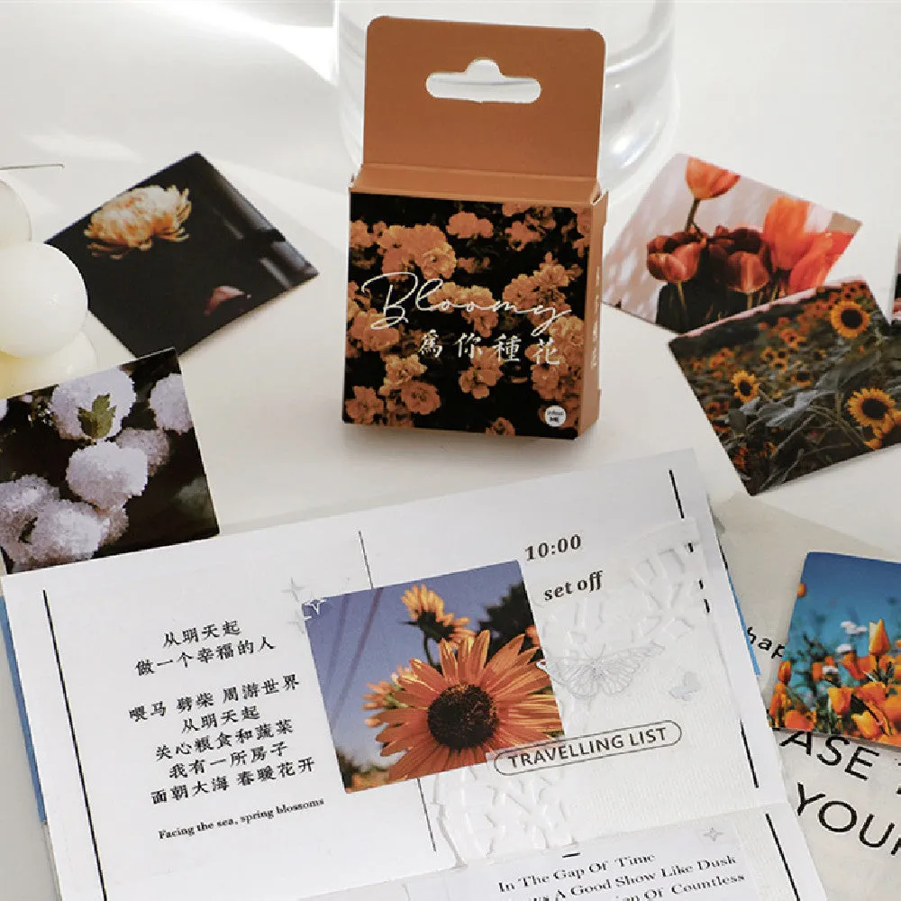 Mountain and Sea Sunshine decorative sticker collection showing six colour variations in 44mm square format