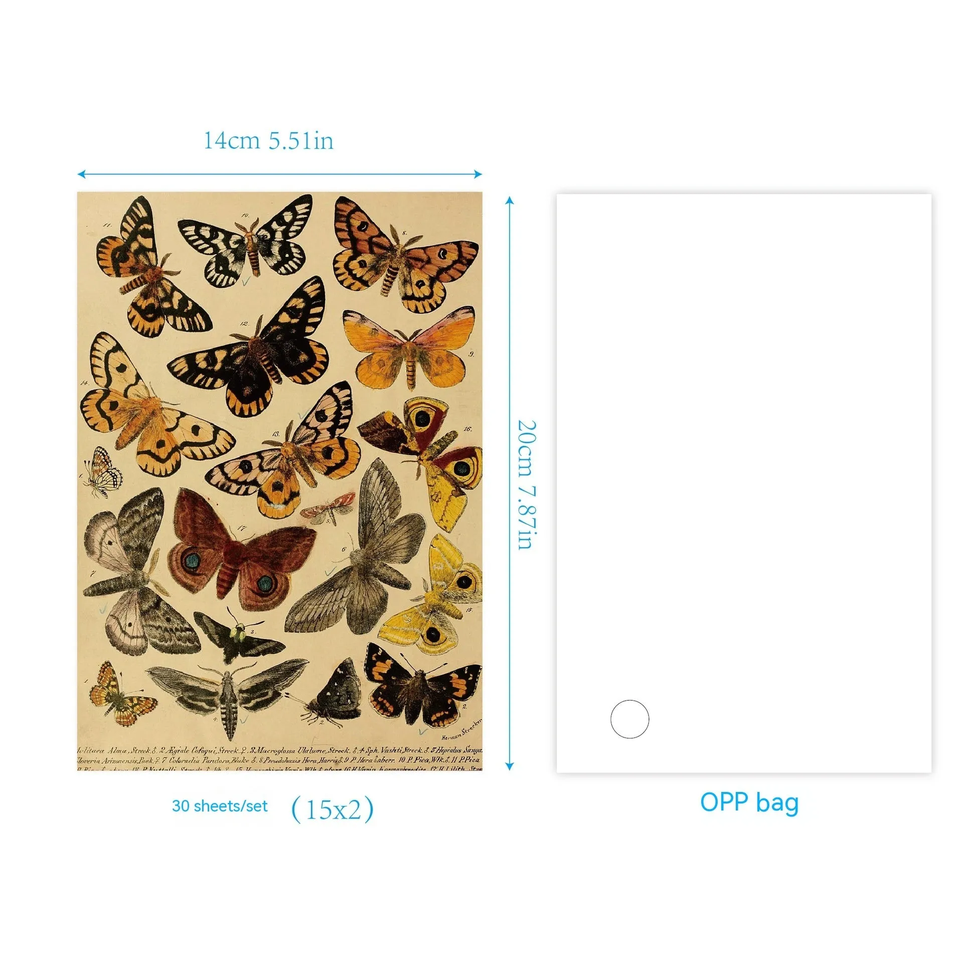 30 pieces of retro-style printed scrapbook paper with botanical, floral, letter, and musical designs