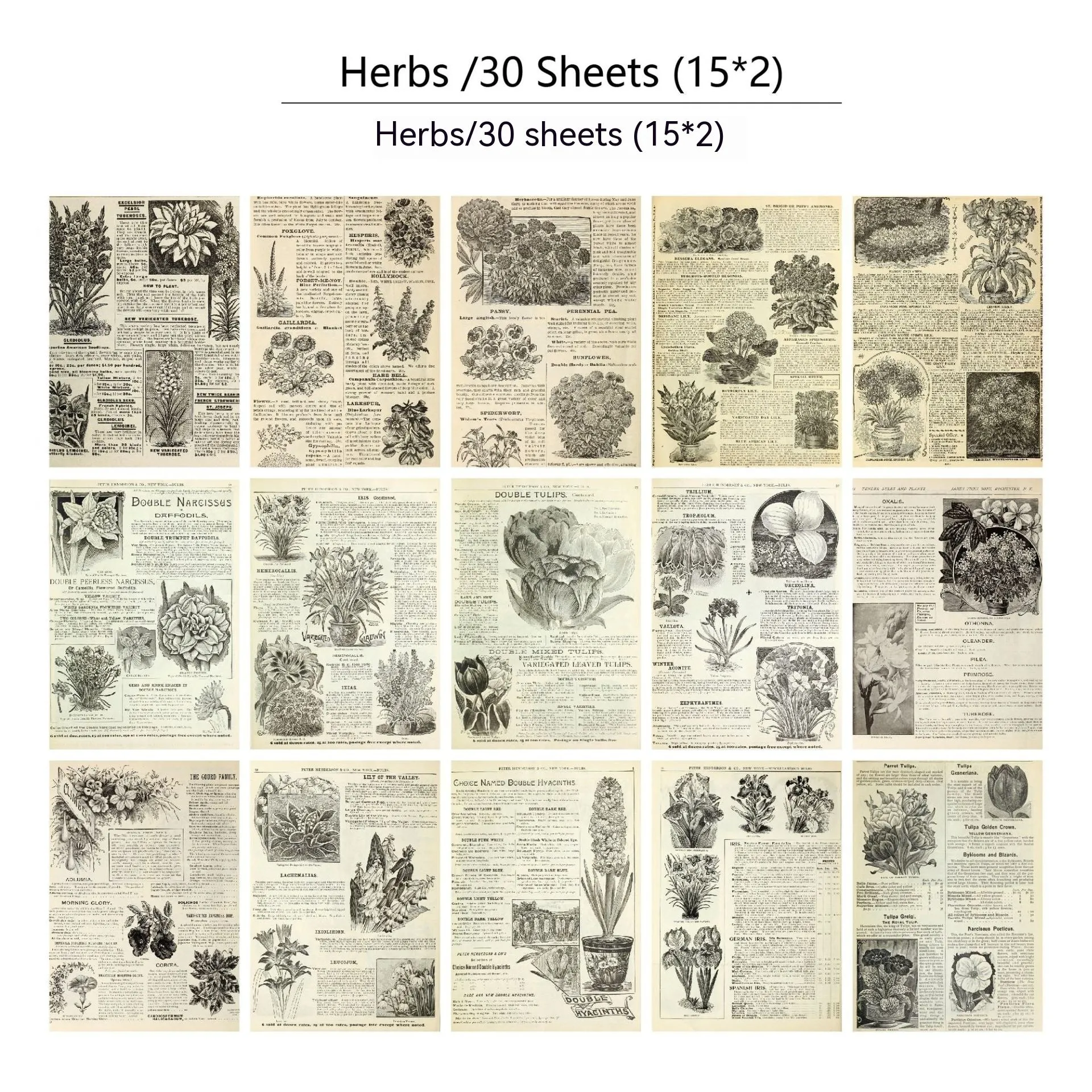 30 pieces of retro-style printed scrapbook paper with botanical, floral, letter, and musical designs
