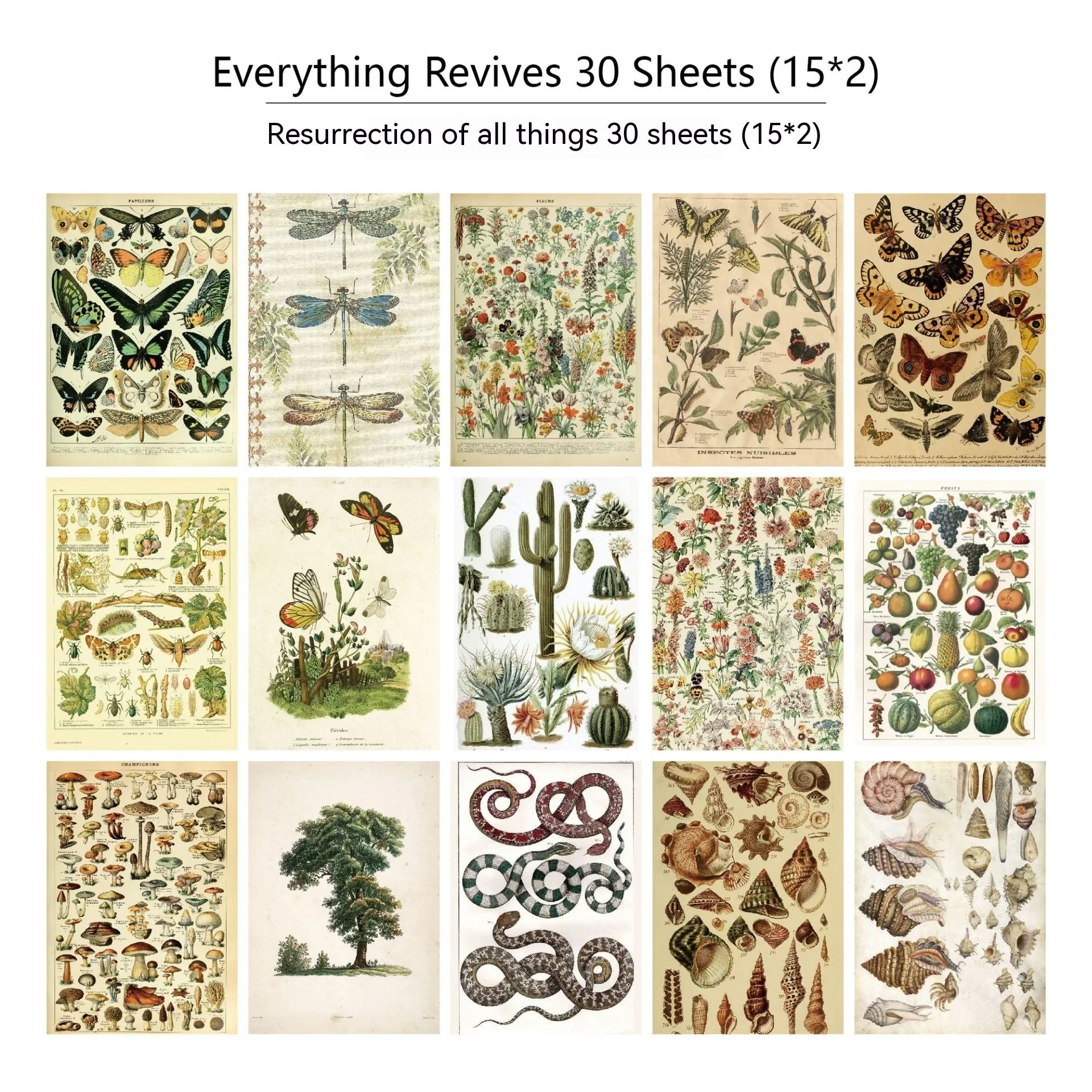 30 pieces of retro-style printed scrapbook paper with botanical, floral, letter, and musical designs