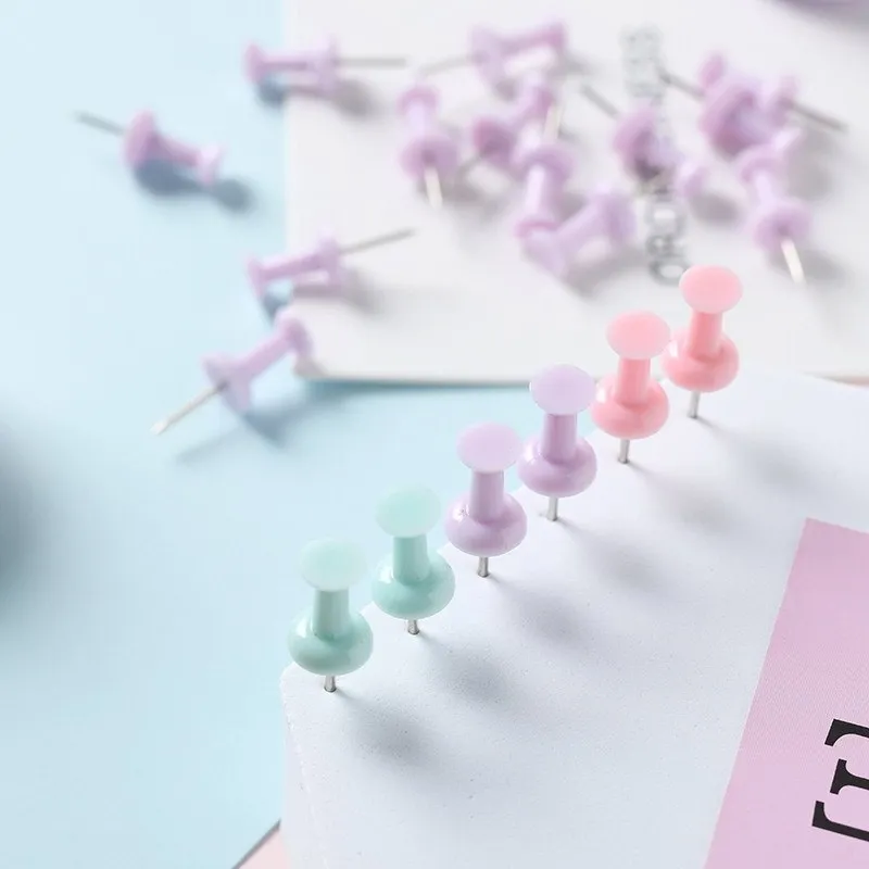 Boxed plastic push pins in macaron colours: cherry blossom pink, mint green, and lavender in large and small sizes