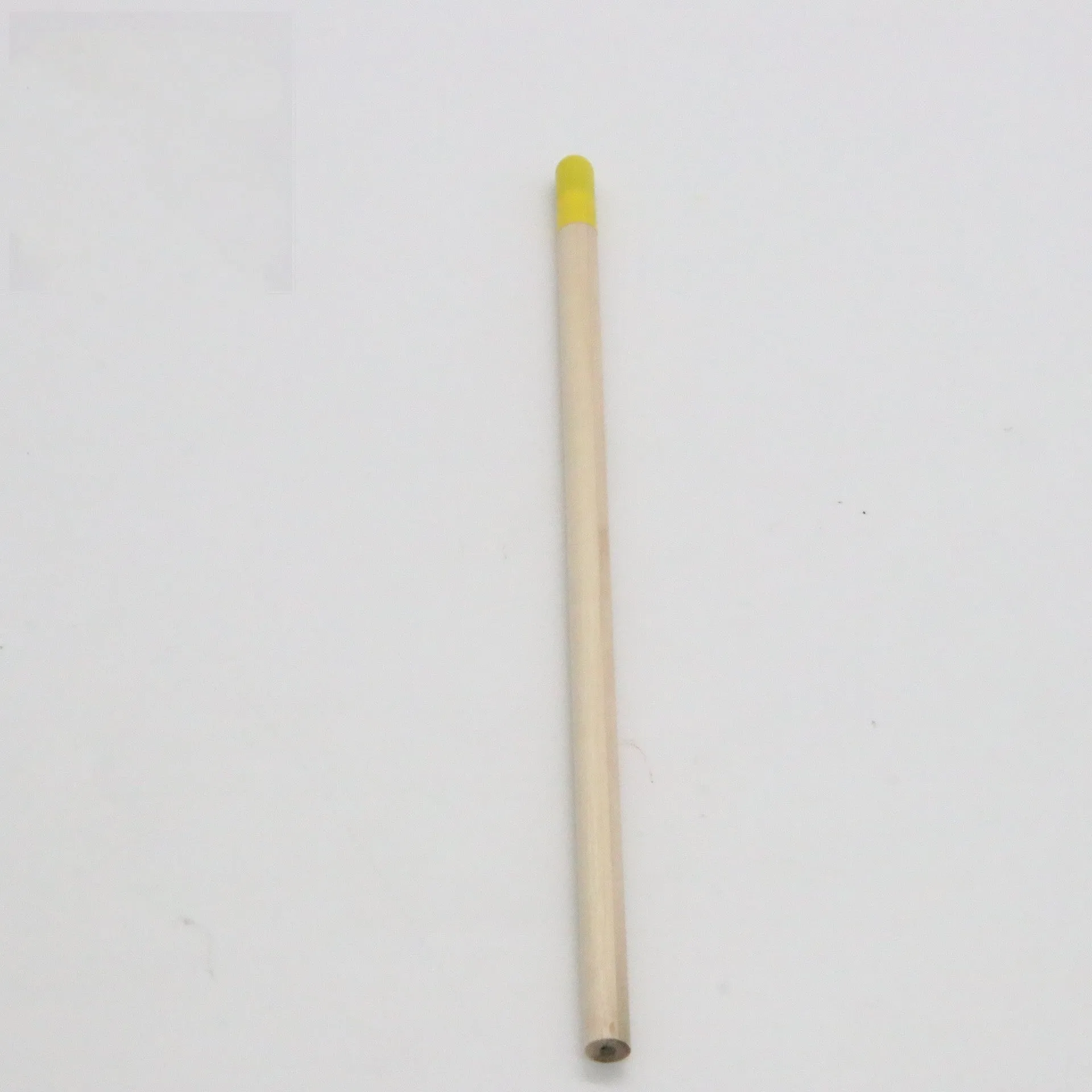 Seed Pencil with coloured degradable capsule tip containing a plant seed, alongside HB refill.