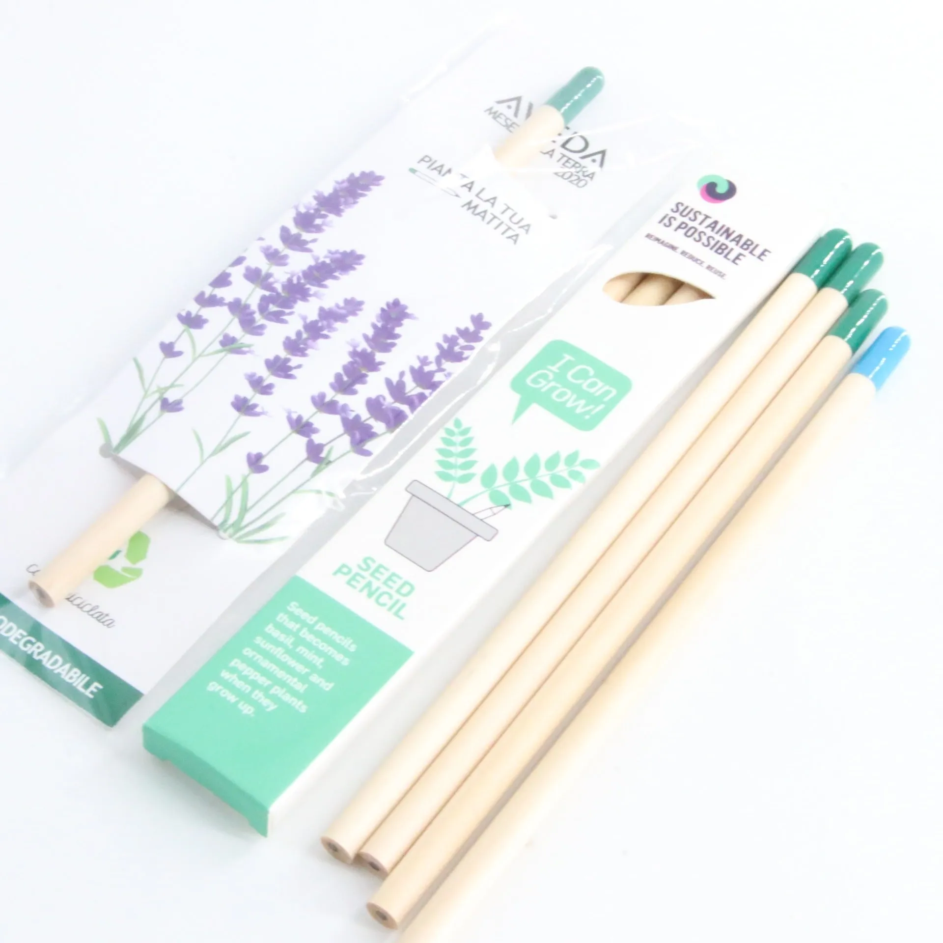 Seed Pencil with coloured degradable capsule tip containing a plant seed, alongside HB refill.