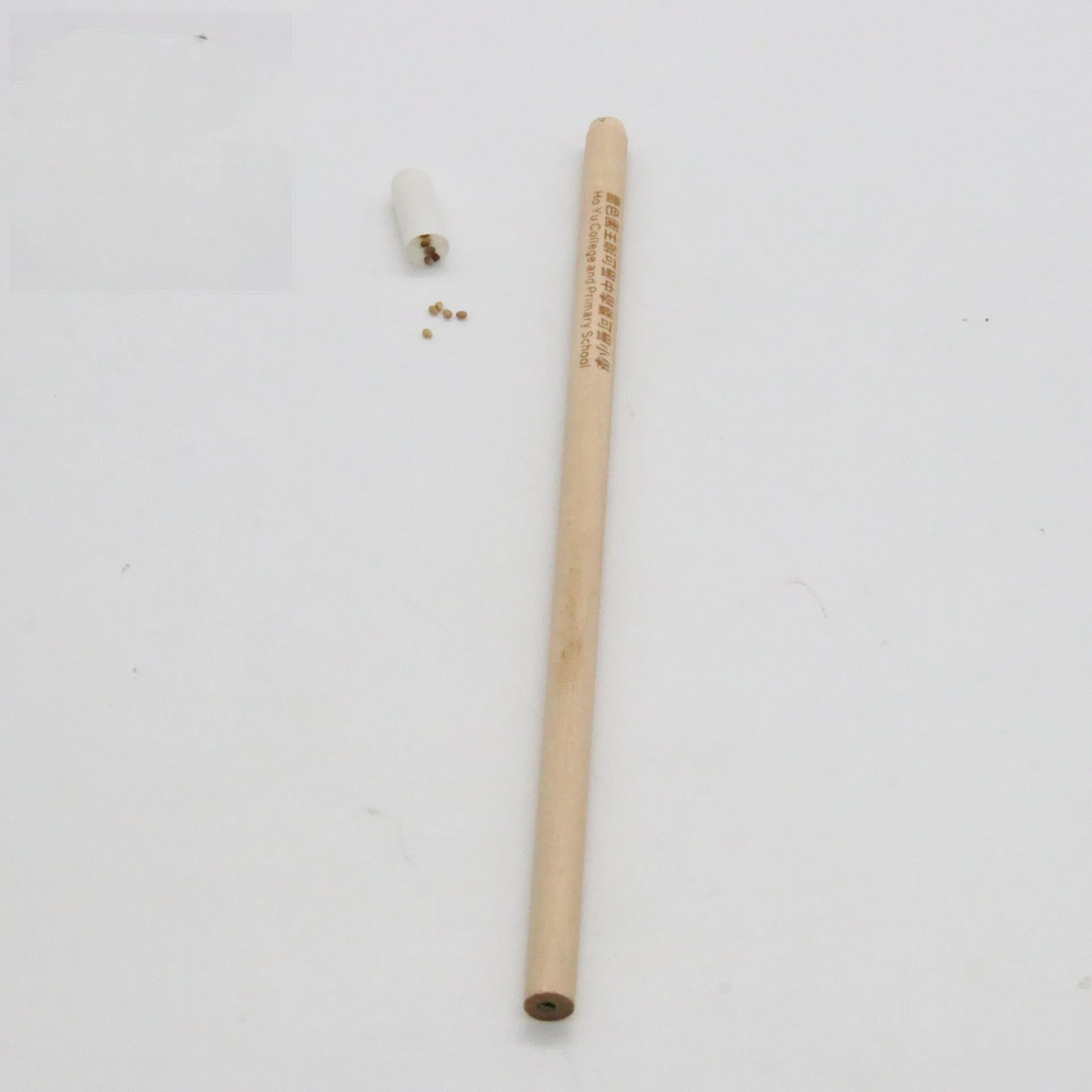 Seed Pencil with coloured degradable capsule tip containing a plant seed, alongside HB refill.