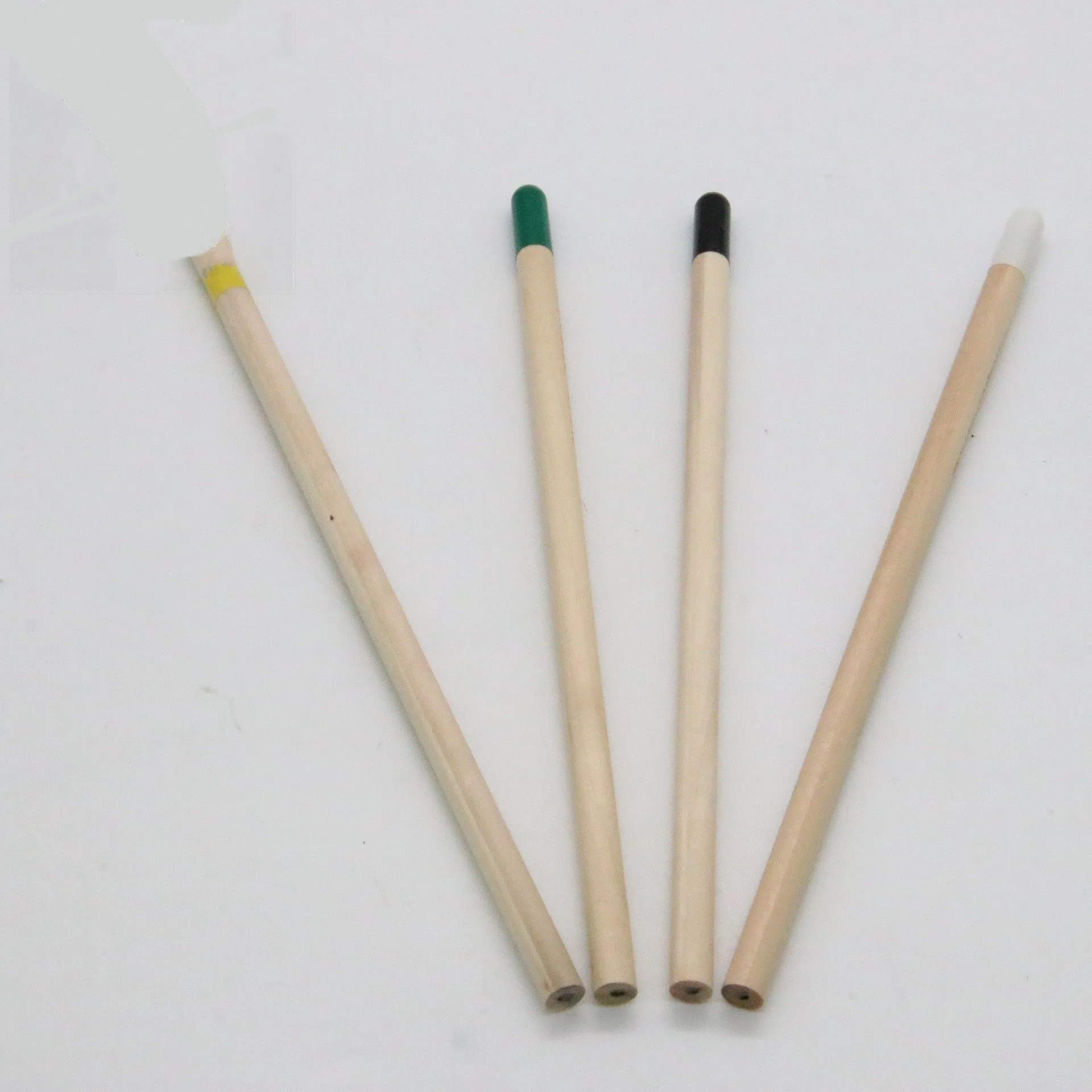 Seed Pencil with coloured degradable capsule tip containing a plant seed, alongside HB refill.